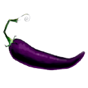 Purple Pepper Farms Store