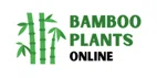Bamboo Plants Online
