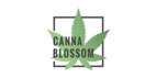 Canna Blossom