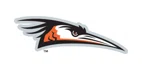 Delmarva Shorebirds