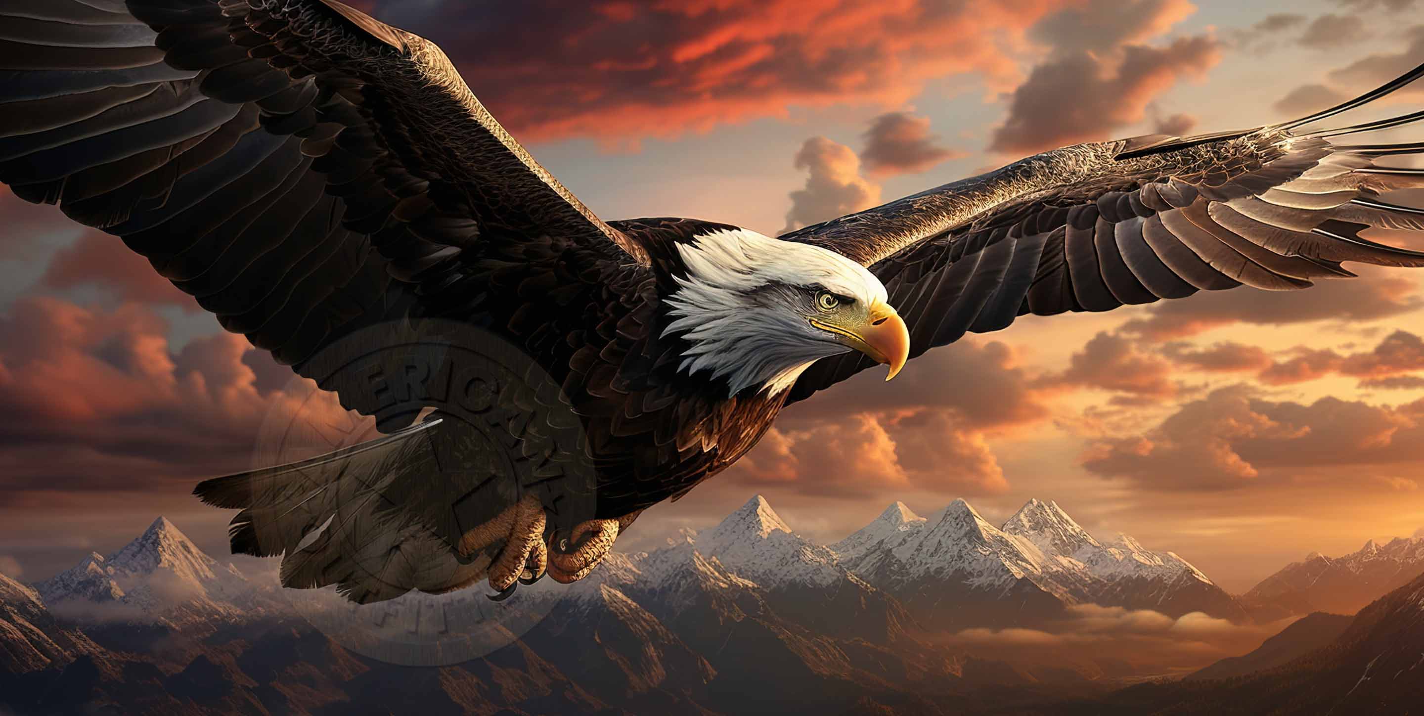 75 OFF American Outfitters Coupon Codes October 2024 Promo Codes