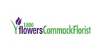 store-logo
