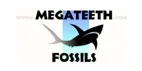 Megateeth