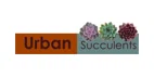 Urban Succulents