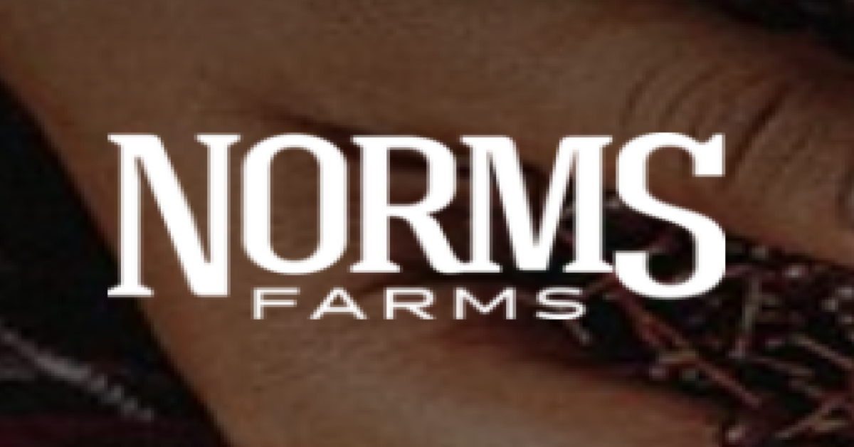 store-logo