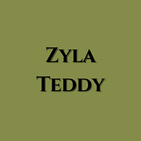 store-logo