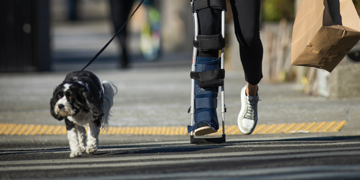 Freedom Leg brace