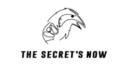 The Secret Snow