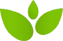 Buy Organic Kratom