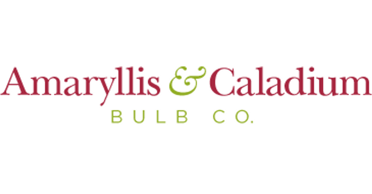 Caladium Bulb Company