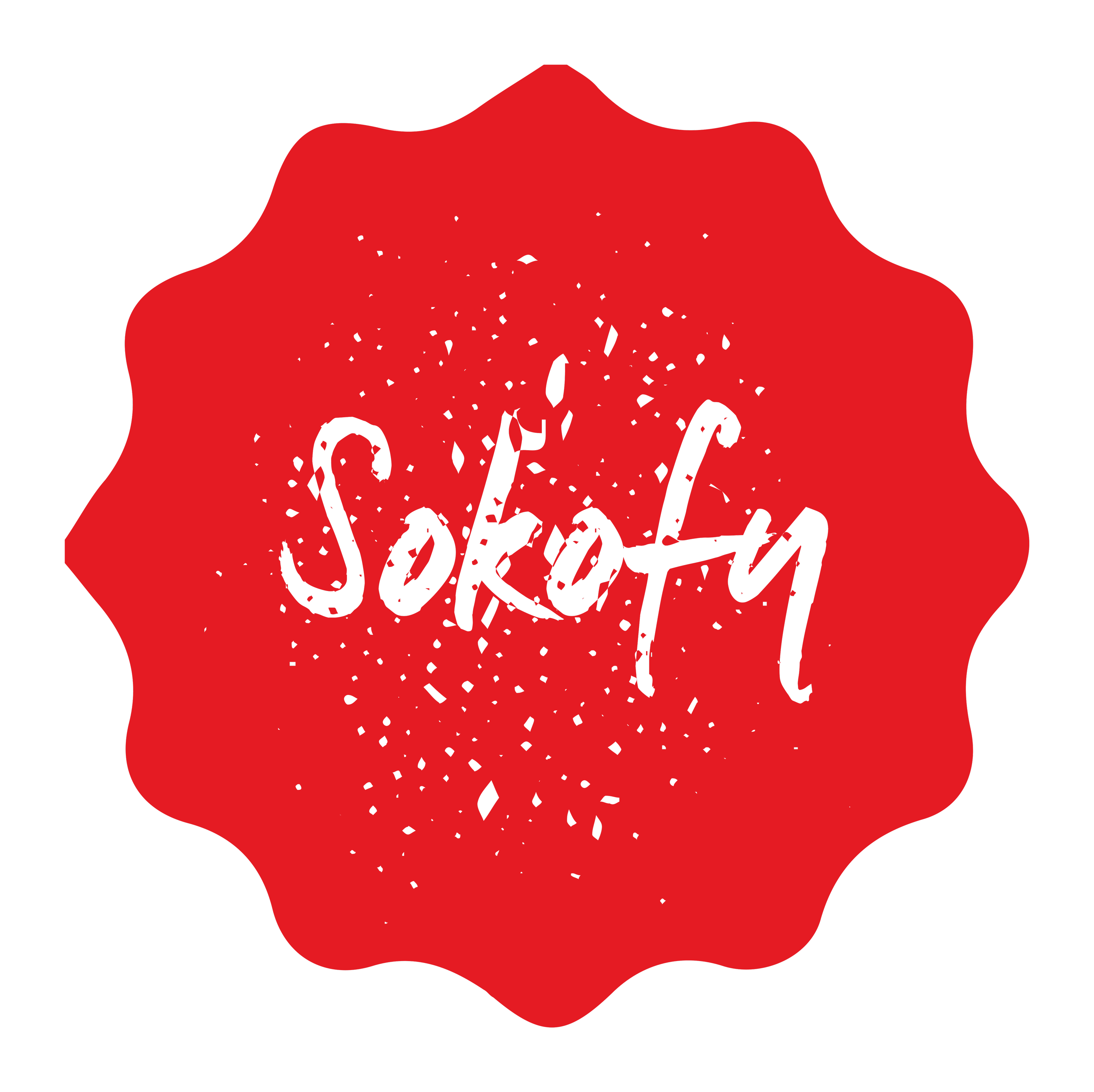 store-logo