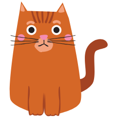 Kittenfy