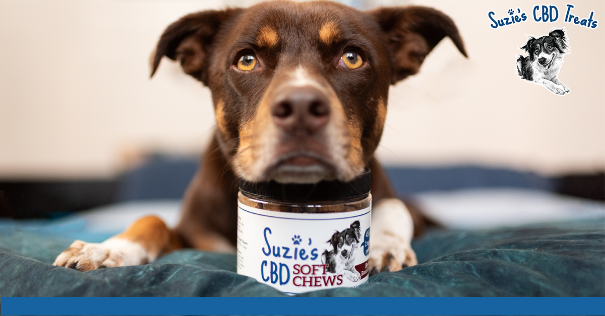 Suzie'S Pet Treats