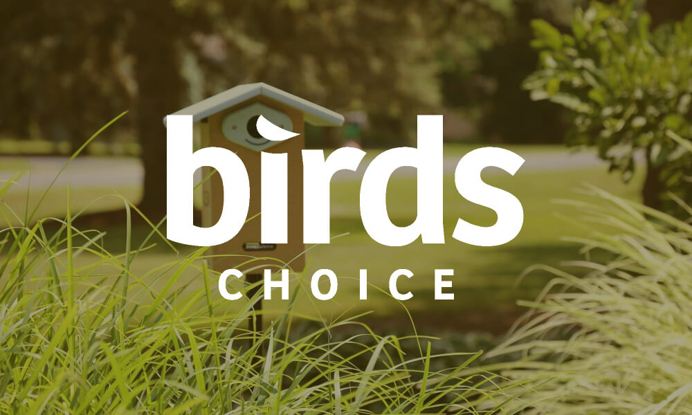 75 OFF Birds Choice Coupon Codes October 2024 Promo Codes