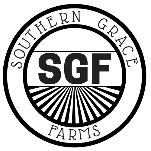 store-logo