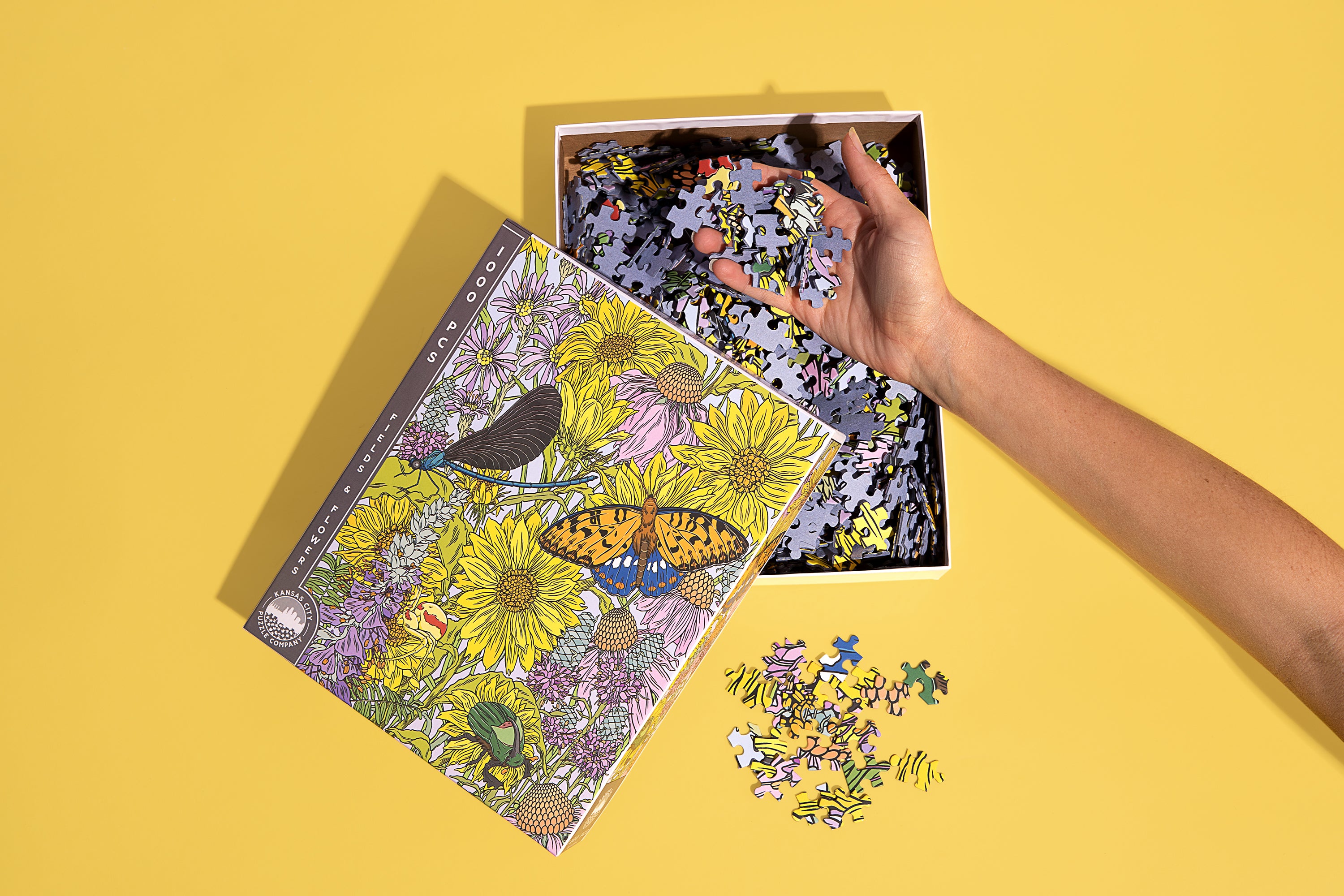 75 OFF Kansas City Puzzle Company Coupon Codes October 2024 Promo Codes