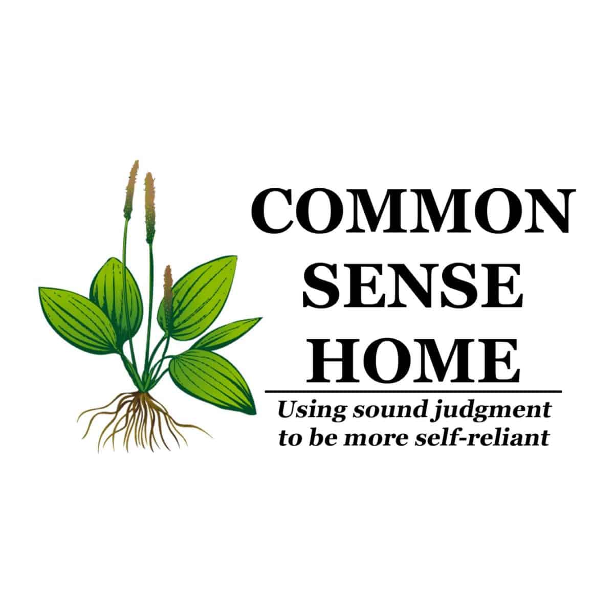 75 OFF Common Sense Coupon Codes October 2024 Promo Codes