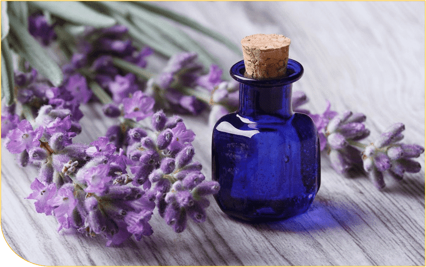 70 OFF Honey Sweetie Acres Coupon Codes October 2024 Promo Codes