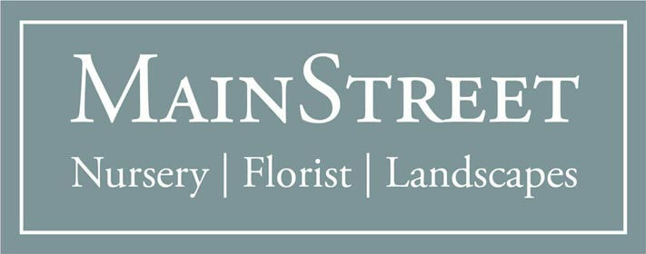 Main Street Nursery