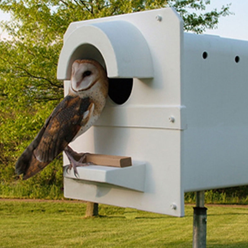 Barn Owl Box Company
