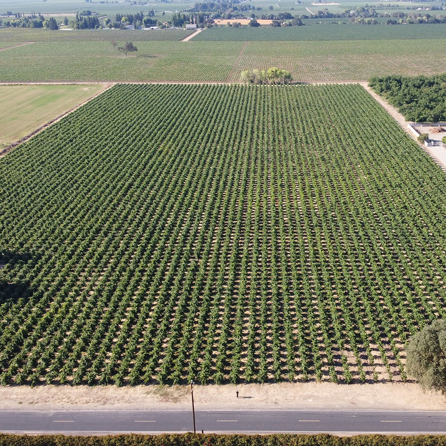Tierra Luna Cellars