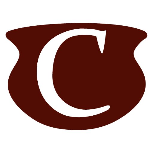 store-logo