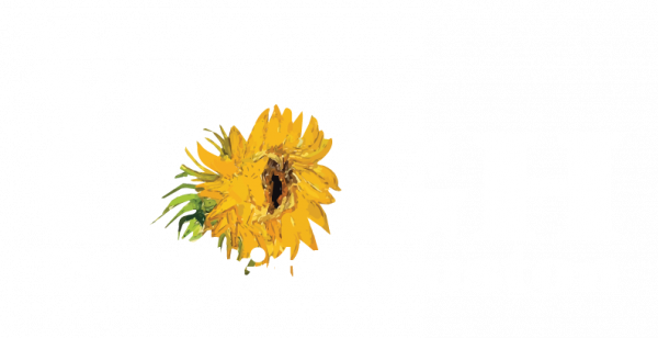 Van Gogh Exhibit Houston