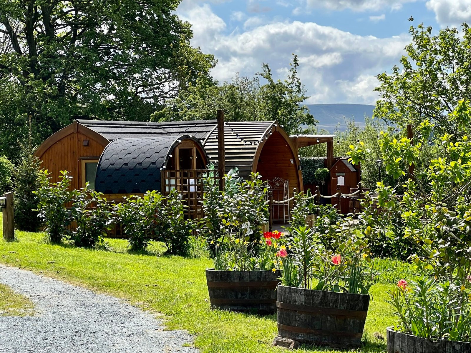 Hedgerow Luxury Glamping