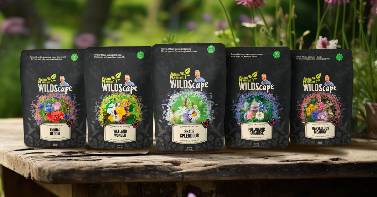 Wildscape