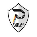 Perfect Soccer Skills