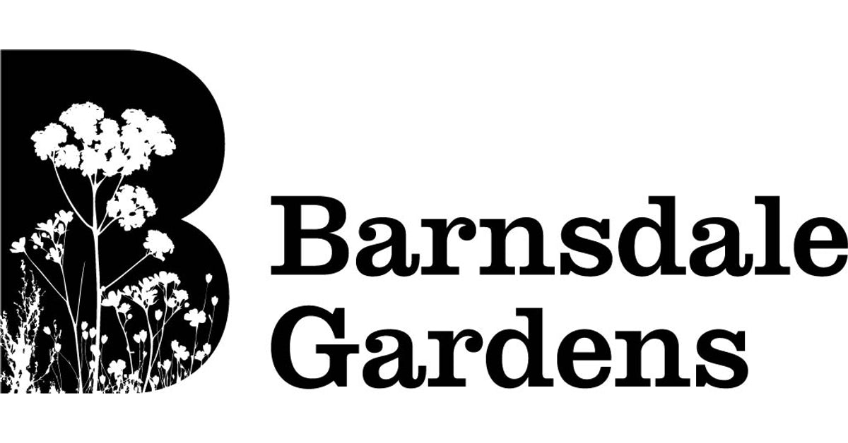 store-logo