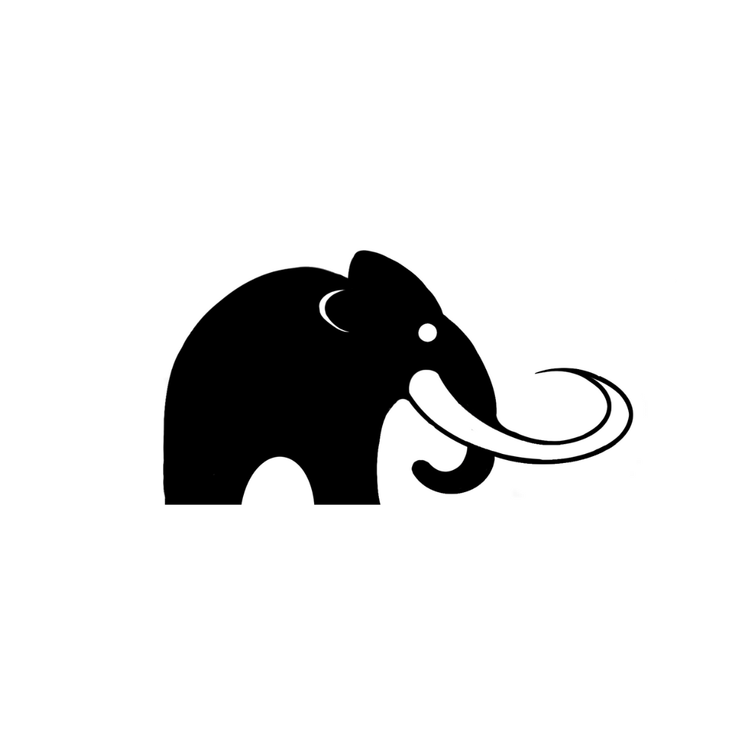 store-logo