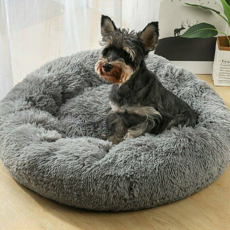 Pet Supplies Australia