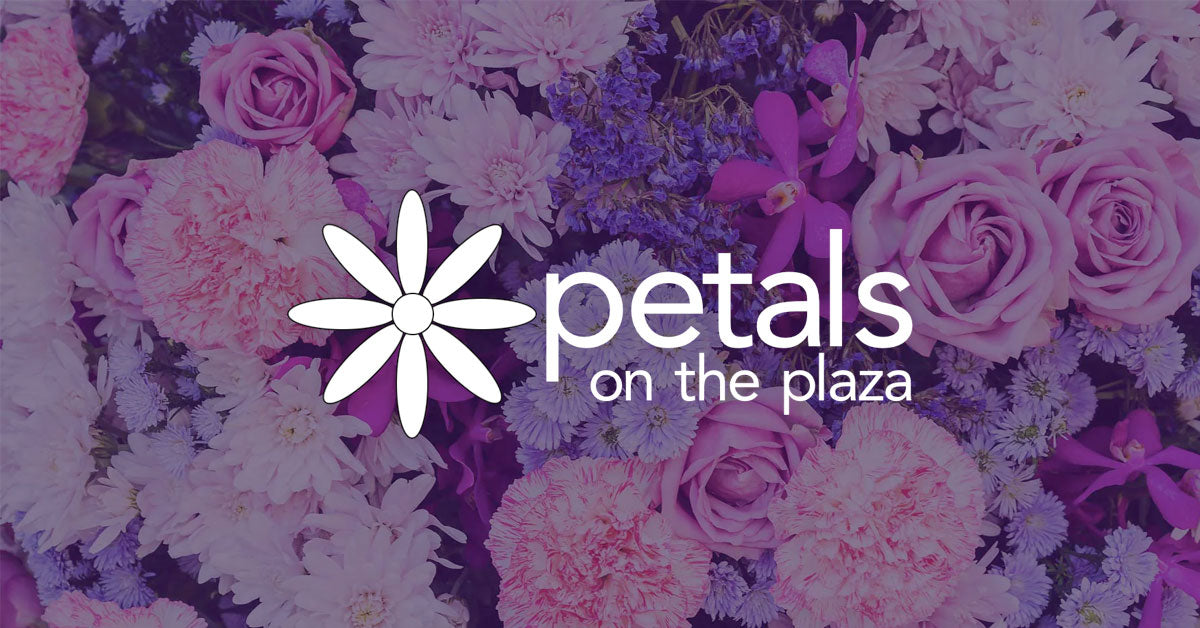 Petals on the Plaza