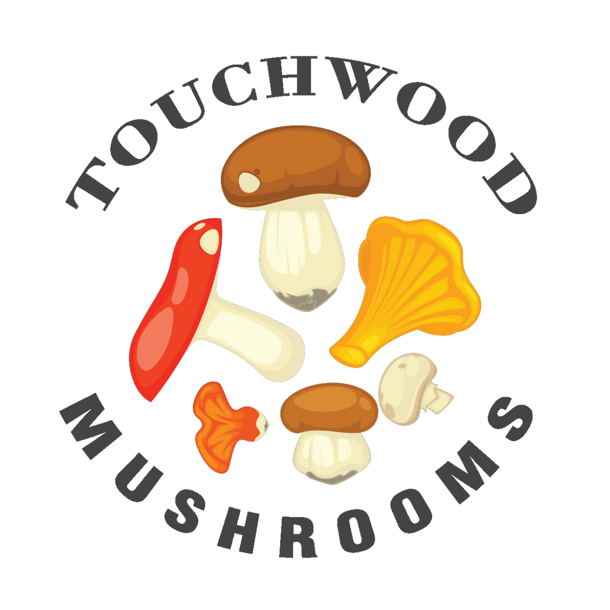 store-logo