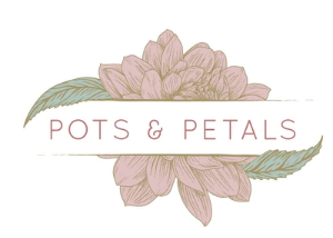 store-logo