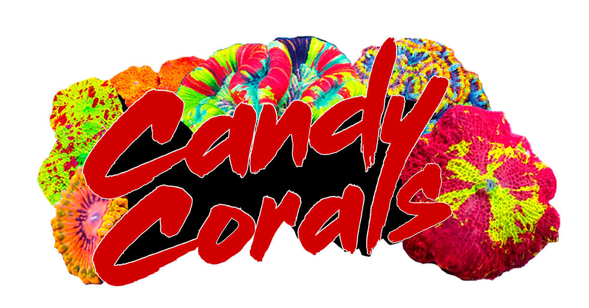 Candy Corals