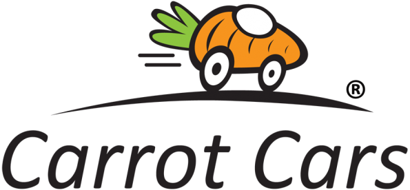 store-logo