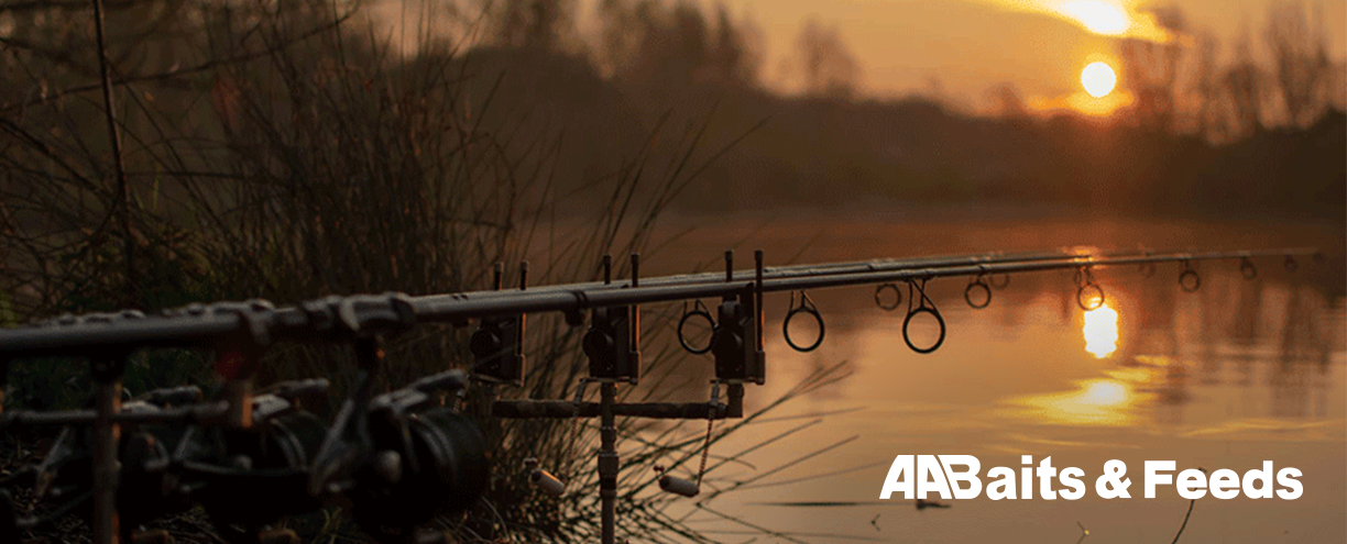 AA Baits