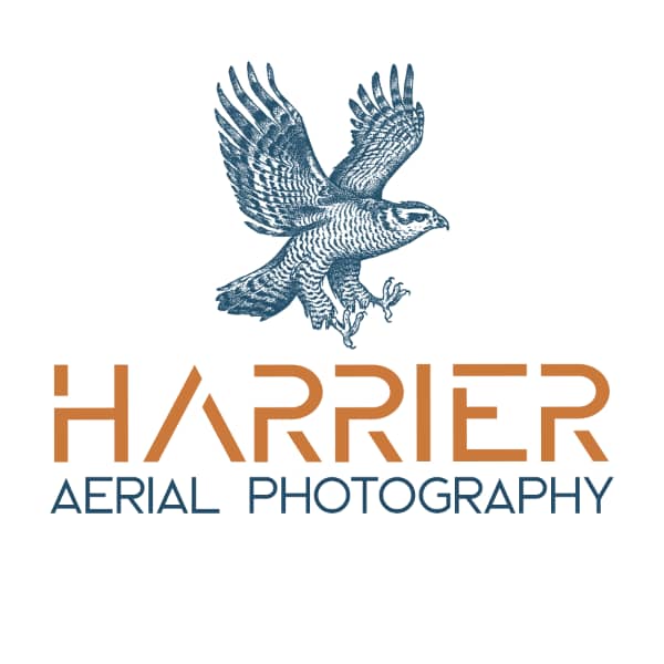 Harrier