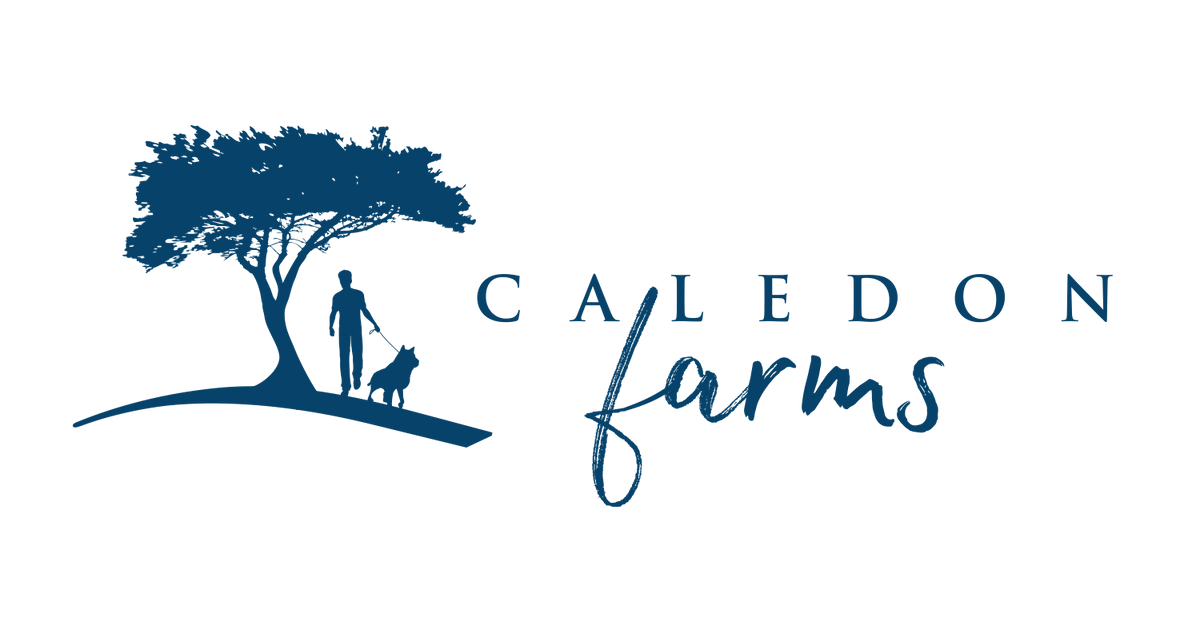 store-logo