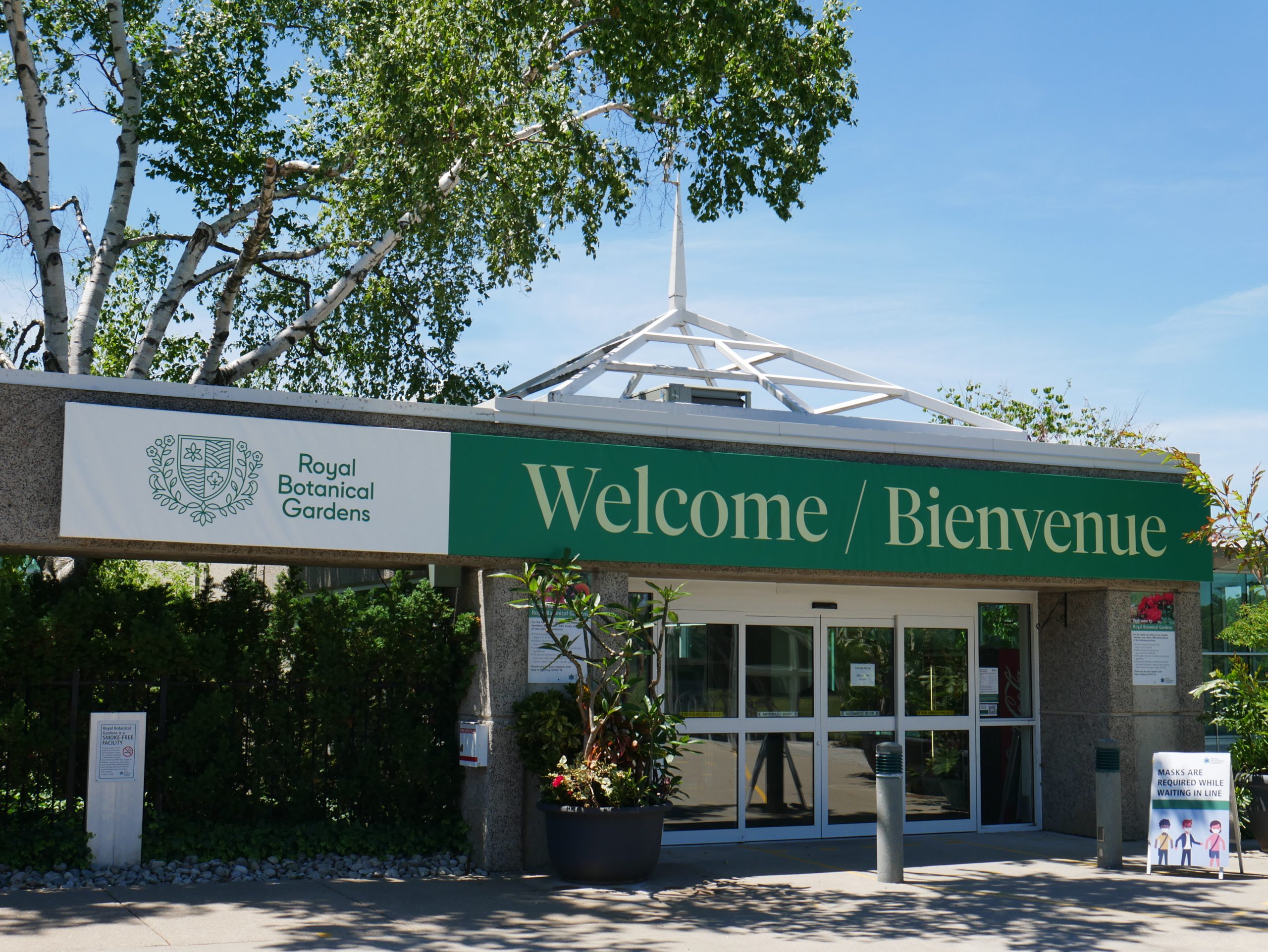 store-logo
