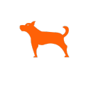 Moto Watchdog Shop