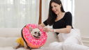 Supet Pet Supplies