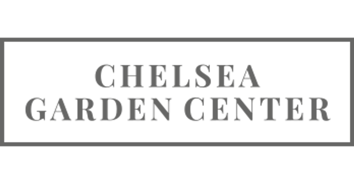 store-logo