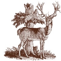 store-logo