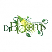 store-logo