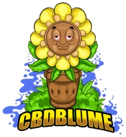 CBD Blume DE