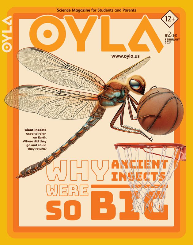 Oyla