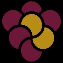 Fiorvino